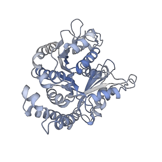 3961_6evw_D_v2-1
Cryo-EM structure of GMPCPP-microtubule co-polymerised with doublecortin