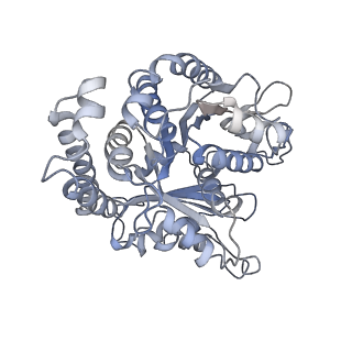 3961_6evw_F_v1-2
Cryo-EM structure of GMPCPP-microtubule co-polymerised with doublecortin