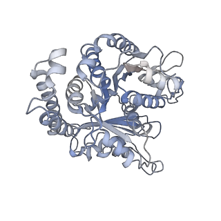 3961_6evw_F_v2-1
Cryo-EM structure of GMPCPP-microtubule co-polymerised with doublecortin