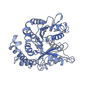 3962_6evx_B_v1-2
Cryo-EM structure of GDP.Pi-microtubule rapidly co-polymerised with doublecortin