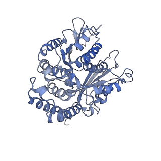 3962_6evx_C_v1-2
Cryo-EM structure of GDP.Pi-microtubule rapidly co-polymerised with doublecortin