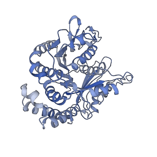 3962_6evx_D_v1-2
Cryo-EM structure of GDP.Pi-microtubule rapidly co-polymerised with doublecortin