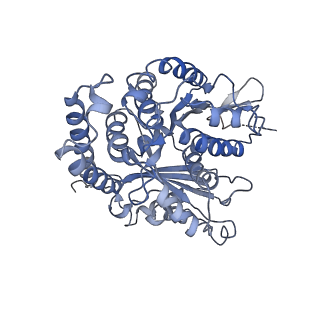 3962_6evx_E_v1-2
Cryo-EM structure of GDP.Pi-microtubule rapidly co-polymerised with doublecortin