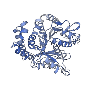 3962_6evx_F_v1-2
Cryo-EM structure of GDP.Pi-microtubule rapidly co-polymerised with doublecortin