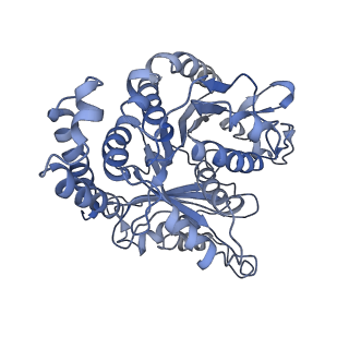 3962_6evx_G_v1-2
Cryo-EM structure of GDP.Pi-microtubule rapidly co-polymerised with doublecortin