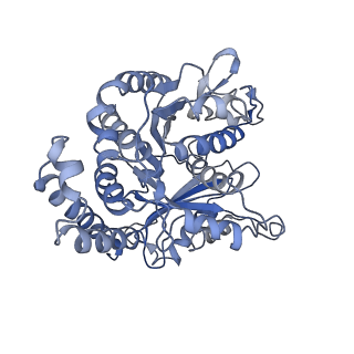 3962_6evx_H_v1-2
Cryo-EM structure of GDP.Pi-microtubule rapidly co-polymerised with doublecortin