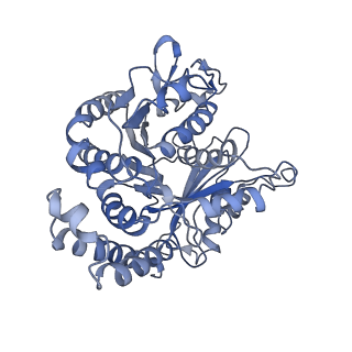 3962_6evx_I_v1-2
Cryo-EM structure of GDP.Pi-microtubule rapidly co-polymerised with doublecortin