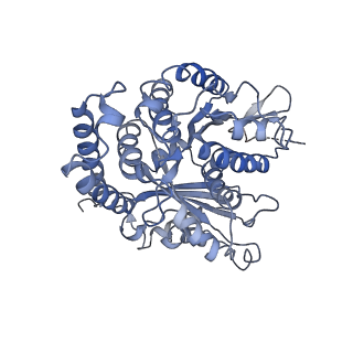 3962_6evx_J_v1-2
Cryo-EM structure of GDP.Pi-microtubule rapidly co-polymerised with doublecortin