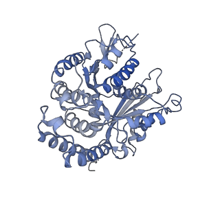 3962_6evx_L_v1-2
Cryo-EM structure of GDP.Pi-microtubule rapidly co-polymerised with doublecortin