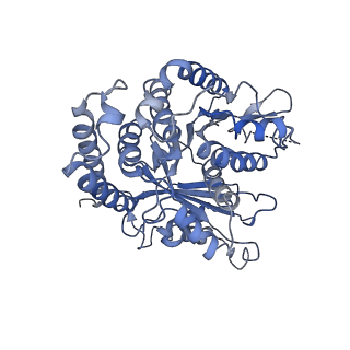 3963_6evy_E_v1-3
Cryo-EM structure of GTPgammaS-microtubule co-polymerised with doublecortin