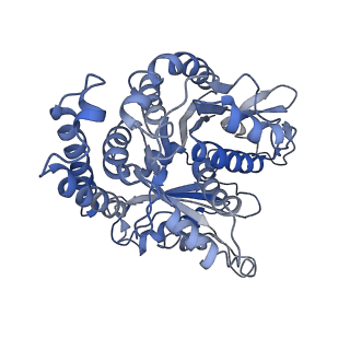 3963_6evy_F_v1-3
Cryo-EM structure of GTPgammaS-microtubule co-polymerised with doublecortin