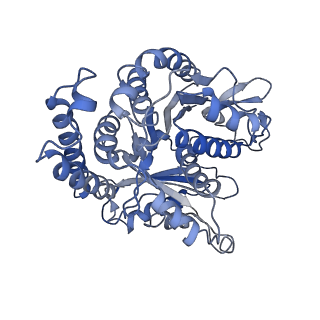 3963_6evy_G_v1-3
Cryo-EM structure of GTPgammaS-microtubule co-polymerised with doublecortin