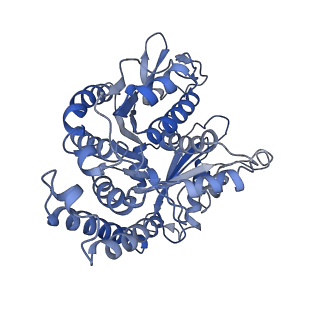 3963_6evy_I_v1-3
Cryo-EM structure of GTPgammaS-microtubule co-polymerised with doublecortin
