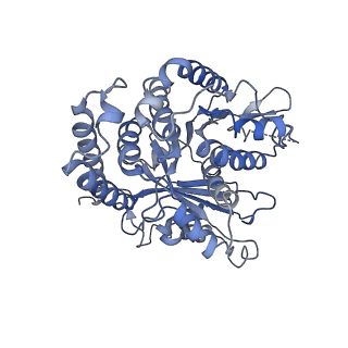 3963_6evy_J_v1-3
Cryo-EM structure of GTPgammaS-microtubule co-polymerised with doublecortin