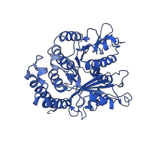 3964_6evz_A_v1-3
Cryo-EM structure of GDP-microtubule co-polymerised with doublecortin