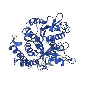 3964_6evz_B_v1-3
Cryo-EM structure of GDP-microtubule co-polymerised with doublecortin