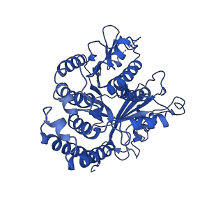 3964_6evz_C_v1-3
Cryo-EM structure of GDP-microtubule co-polymerised with doublecortin