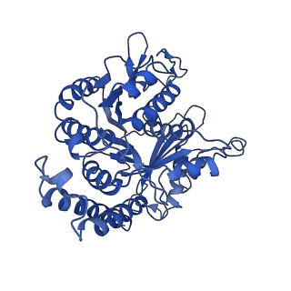 3964_6evz_D_v1-3
Cryo-EM structure of GDP-microtubule co-polymerised with doublecortin