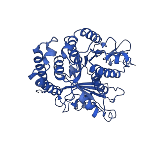 3964_6evz_E_v1-3
Cryo-EM structure of GDP-microtubule co-polymerised with doublecortin