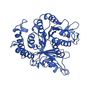 3964_6evz_F_v1-3
Cryo-EM structure of GDP-microtubule co-polymerised with doublecortin