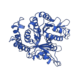 3964_6evz_G_v1-3
Cryo-EM structure of GDP-microtubule co-polymerised with doublecortin