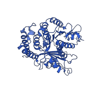 3964_6evz_J_v1-3
Cryo-EM structure of GDP-microtubule co-polymerised with doublecortin