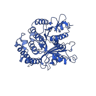 3964_6evz_K_v1-3
Cryo-EM structure of GDP-microtubule co-polymerised with doublecortin