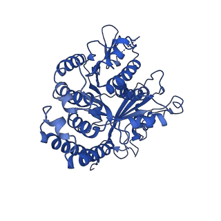 3964_6evz_L_v1-3
Cryo-EM structure of GDP-microtubule co-polymerised with doublecortin