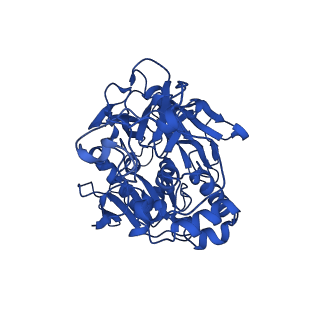 28641_8ew3_A_v1-0
Cryo EM structure of Vibrio cholerae NQR