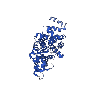 28641_8ew3_B_v1-0
Cryo EM structure of Vibrio cholerae NQR