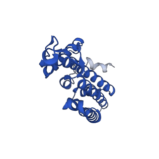 28641_8ew3_D_v1-0
Cryo EM structure of Vibrio cholerae NQR