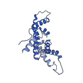 28641_8ew3_E_v1-0
Cryo EM structure of Vibrio cholerae NQR