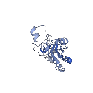 28642_8ewb_AI_v1-0
Hypopseudouridylated yeast 80S bound with Taura syndrome virus (TSV) internal ribosome entry site (IRES), eEF2 and GDP, Structure III