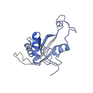 28642_8ewb_AJ_v1-0
Hypopseudouridylated yeast 80S bound with Taura syndrome virus (TSV) internal ribosome entry site (IRES), eEF2 and GDP, Structure III