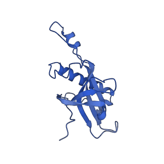 28642_8ewb_AZ_v1-0
Hypopseudouridylated yeast 80S bound with Taura syndrome virus (TSV) internal ribosome entry site (IRES), eEF2 and GDP, Structure III