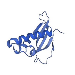 28642_8ewb_Ad_v1-0
Hypopseudouridylated yeast 80S bound with Taura syndrome virus (TSV) internal ribosome entry site (IRES), eEF2 and GDP, Structure III