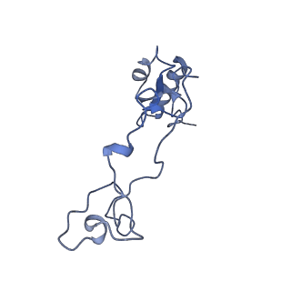 28642_8ewb_Ae_v1-0
Hypopseudouridylated yeast 80S bound with Taura syndrome virus (TSV) internal ribosome entry site (IRES), eEF2 and GDP, Structure III
