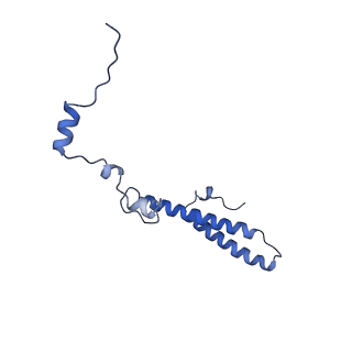 28642_8ewb_Ah_v1-0
Hypopseudouridylated yeast 80S bound with Taura syndrome virus (TSV) internal ribosome entry site (IRES), eEF2 and GDP, Structure III