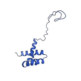28642_8ewb_Ai_v1-0
Hypopseudouridylated yeast 80S bound with Taura syndrome virus (TSV) internal ribosome entry site (IRES), eEF2 and GDP, Structure III