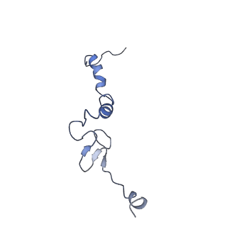 28642_8ewb_Aj_v1-0
Hypopseudouridylated yeast 80S bound with Taura syndrome virus (TSV) internal ribosome entry site (IRES), eEF2 and GDP, Structure III