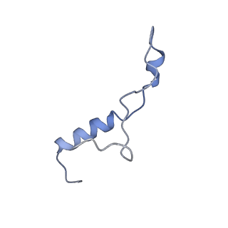 28642_8ewb_Al_v1-0
Hypopseudouridylated yeast 80S bound with Taura syndrome virus (TSV) internal ribosome entry site (IRES), eEF2 and GDP, Structure III