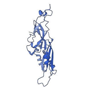 28642_8ewb_BB_v1-0
Hypopseudouridylated yeast 80S bound with Taura syndrome virus (TSV) internal ribosome entry site (IRES), eEF2 and GDP, Structure III