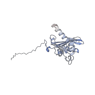 28642_8ewb_BD_v1-0
Hypopseudouridylated yeast 80S bound with Taura syndrome virus (TSV) internal ribosome entry site (IRES), eEF2 and GDP, Structure III