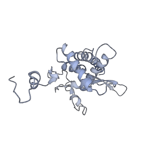 28642_8ewb_BF_v1-0
Hypopseudouridylated yeast 80S bound with Taura syndrome virus (TSV) internal ribosome entry site (IRES), eEF2 and GDP, Structure III