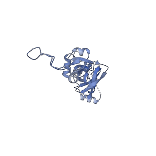 28642_8ewb_BI_v1-0
Hypopseudouridylated yeast 80S bound with Taura syndrome virus (TSV) internal ribosome entry site (IRES), eEF2 and GDP, Structure III