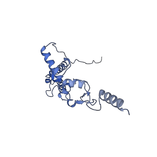 28642_8ewb_BJ_v1-0
Hypopseudouridylated yeast 80S bound with Taura syndrome virus (TSV) internal ribosome entry site (IRES), eEF2 and GDP, Structure III