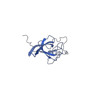 28642_8ewb_BL_v1-0
Hypopseudouridylated yeast 80S bound with Taura syndrome virus (TSV) internal ribosome entry site (IRES), eEF2 and GDP, Structure III