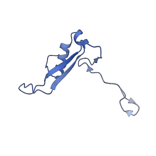 28642_8ewb_BV_v1-0
Hypopseudouridylated yeast 80S bound with Taura syndrome virus (TSV) internal ribosome entry site (IRES), eEF2 and GDP, Structure III