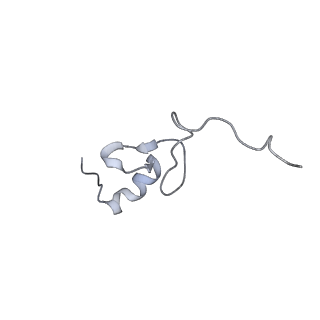 28642_8ewb_Bd_v1-0
Hypopseudouridylated yeast 80S bound with Taura syndrome virus (TSV) internal ribosome entry site (IRES), eEF2 and GDP, Structure III