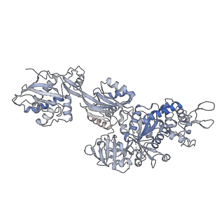 28642_8ewb_DC_v1-0
Hypopseudouridylated yeast 80S bound with Taura syndrome virus (TSV) internal ribosome entry site (IRES), eEF2 and GDP, Structure III